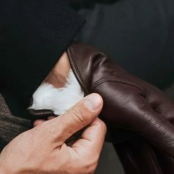 Fratelli Orsini Men's Gloves Marco (brown) - Lambskin Leather Gloves With White Fur Lining