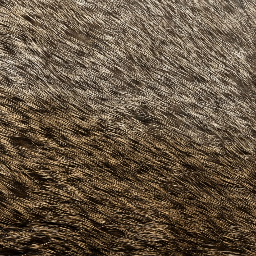 Best Sale ๐ Fratelli Orsini Marco (black) - Lambskin Leather Gloves With Brown Fur Lining Men's Gloves โ๏ธ 7 Fratelli Orsini Marco (black) - Lambskin Leather Gloves With Brown Fur Lining Men's Gloves