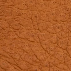 Fratelli Orsini Antonio (brown) - Peccary Leather Gloves With Cashmere Lining Men's Gloves